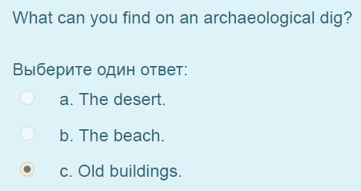 What can you find on an archaeological dig?
Выберите один ответ:
а. The desert.
b. The beach.
© c. Old buildings. ...